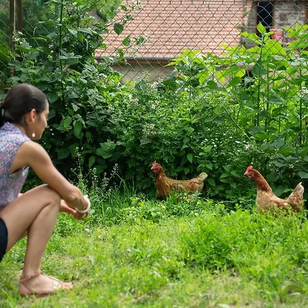 Panzió Les D'hotes De Laurette