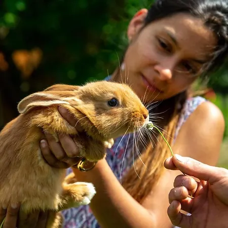 Les D'hotes De Laurette Panzió Bertrambois