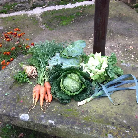 Panzió Les D'hotes De Laurette 3*
