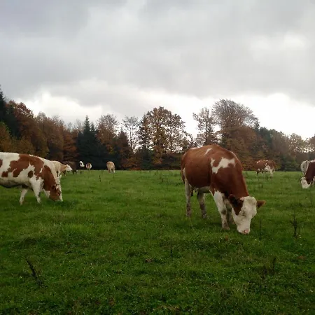 Les D'hotes De Laurette