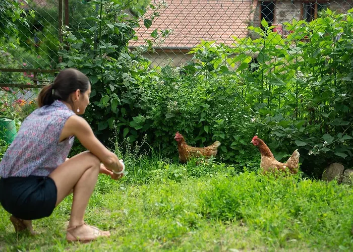 Couette-café Les D'hotes De Laurette