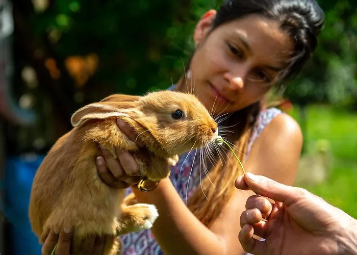 Les D'hotes De Laurette Couette-café Bertrambois