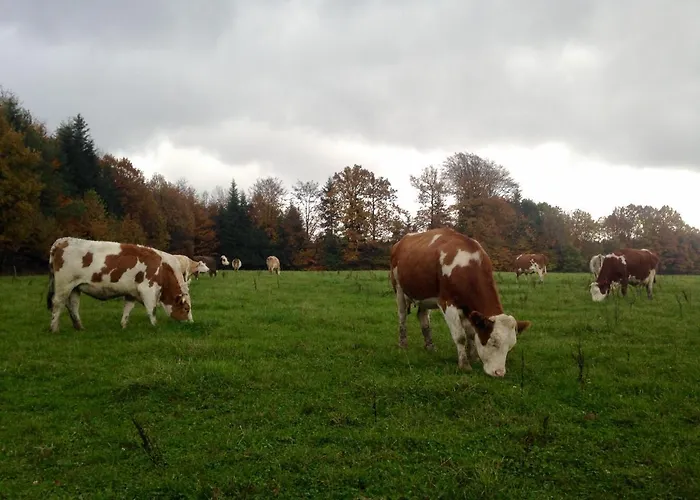 Les D'hotes De Laurette